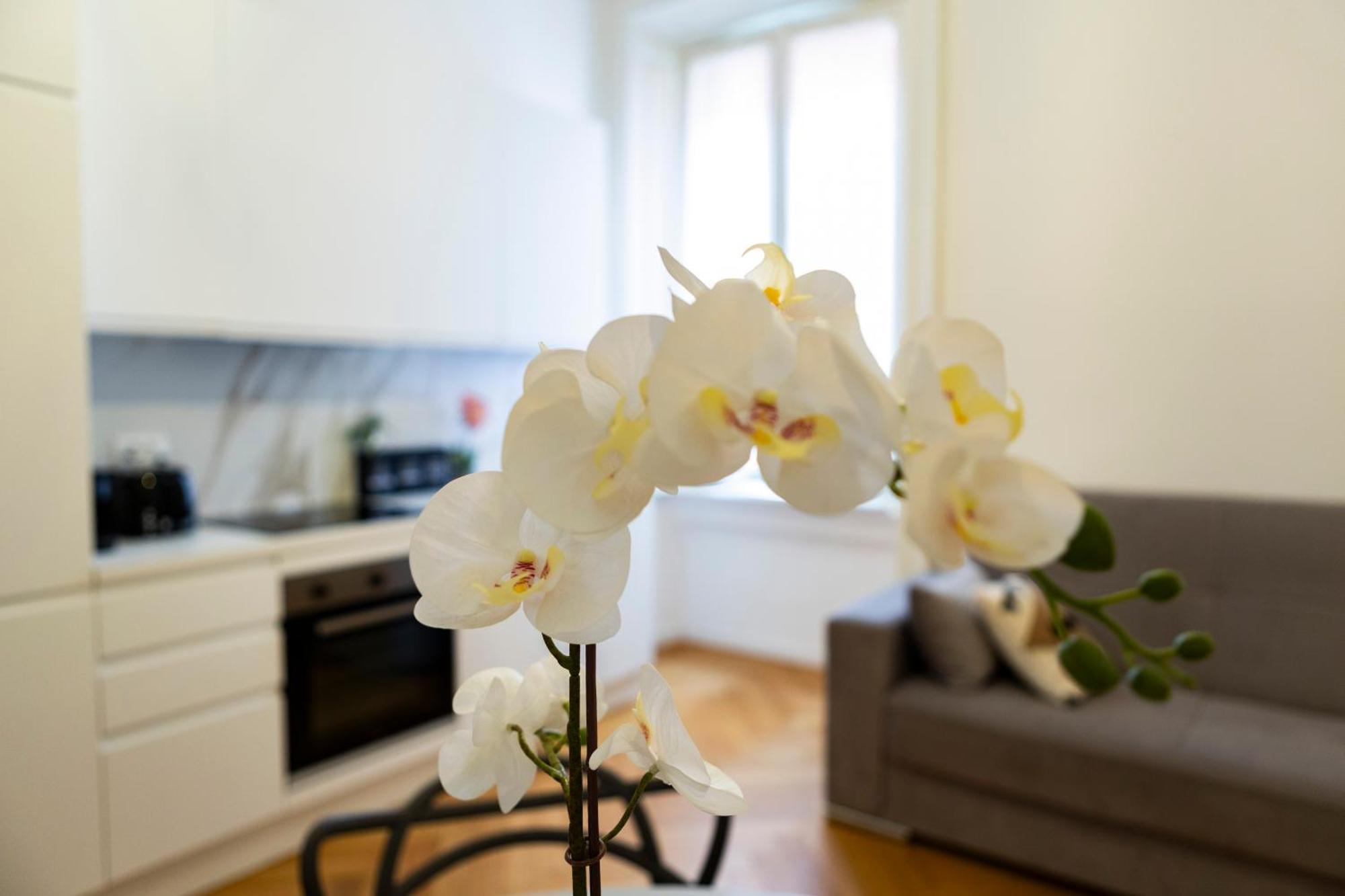 Macchi Delicious Apartment By 101Flats ミラノ エクステリア 写真