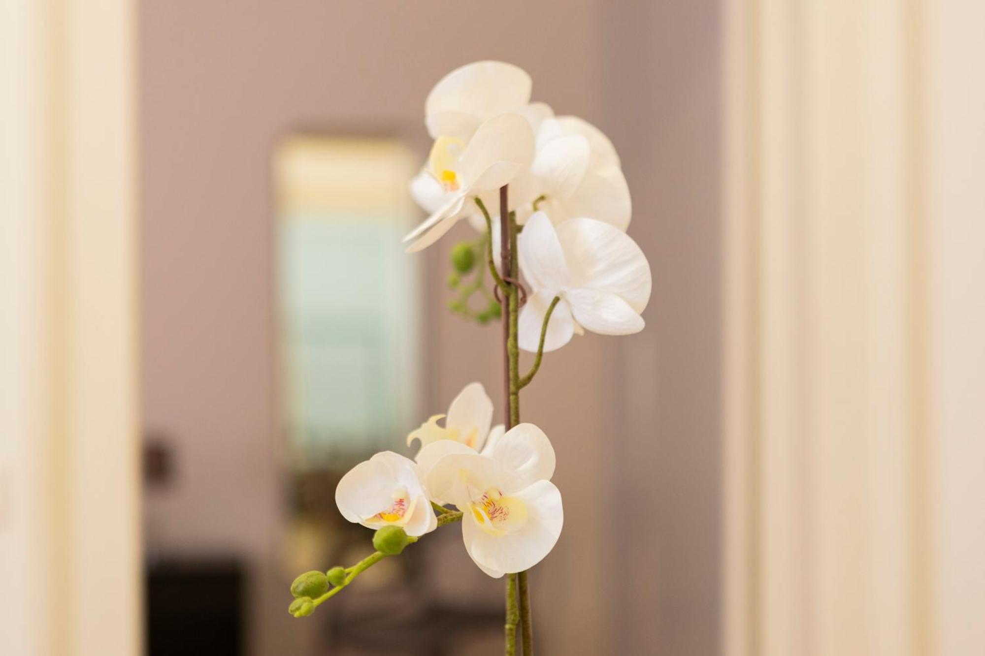 Macchi Delicious Apartment By 101Flats ミラノ エクステリア 写真